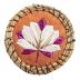 Birchbark Box