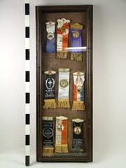 Framed Display Of Polish Fraternal Ribbons, Grand Rapids Polish American Archival Collection #127