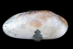Purse, Coin