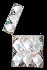 Calling Card And Case