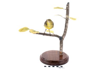 Scarlet Tanager (mount)