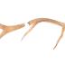 Elk (antler)