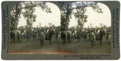 Stereoview