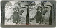 Stereoview