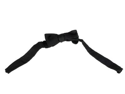 Bowtie and Box (Payette Dress Bows)