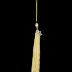 Graduation Tassel