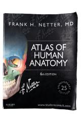 Textbook, "Atlas of Human Anatomy"