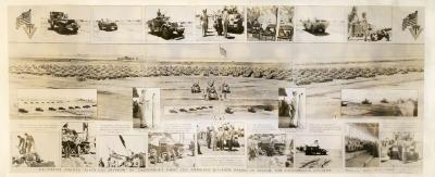 Photograph, Black Cat Division