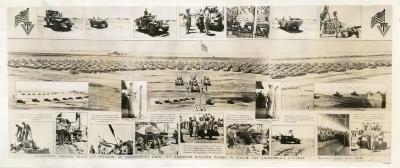 Photograph, Black Cat Division