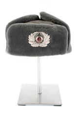 Winter Hat, Men's 