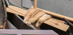 Fleshing Beam