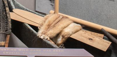 Fleshing Beam;Fleshing Beam