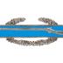 Combat Infantryman Badge