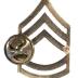 Collar Rank Insignia