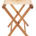 Camp Stool