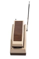 Cordless Telephone