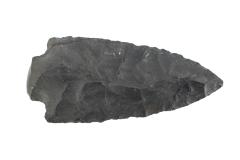 Projectile Point