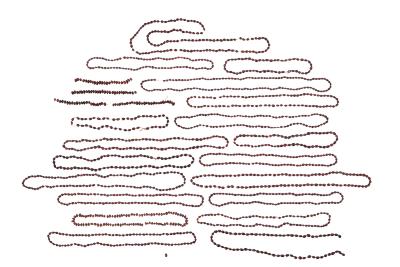 Necklaces, Precatory Pea (20)