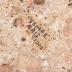 Volcanic Stone
