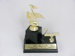 Award, New World Pom Pon Team Talent Show