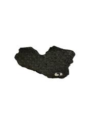 Tree Bark Imprint Fossil