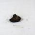 Artillery Shell Fragments