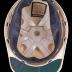 City Historian Helmet