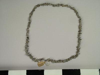Necklace, Shell