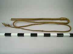 Bull Whip