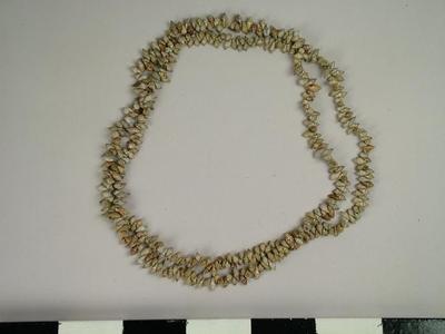 Necklace, Shell