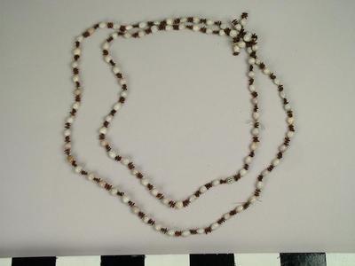 Seed Necklace