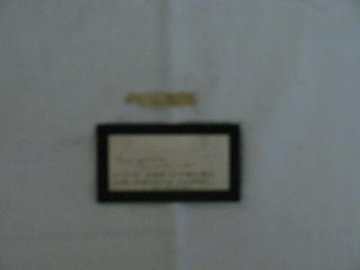 Coat Fragment