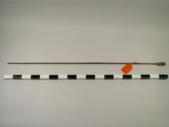 Stick, Crop Or Arrow