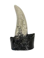 Tyrannosaurus Rex Tooth Replica