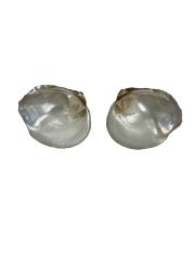 Shell Currency