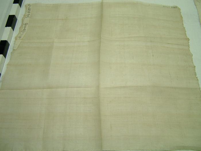 Fabric