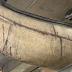 Birch Bark Canoe (Wiigwaasi-Jiimaan)