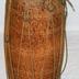 Drum