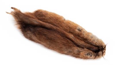Tanned Muskrat Hide