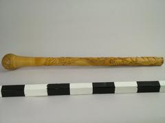 Cane