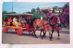 Postcard, Lilac Time, Mackinac Island