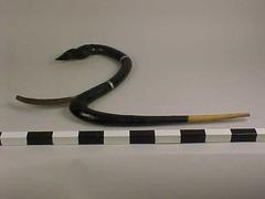 Sickle