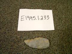 Projectile Point