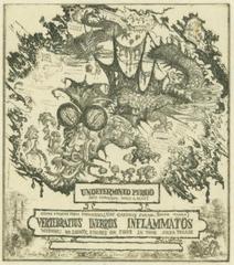 Print, 'Fossil Studies: III, Reptilia - State I' (1 Of 3)