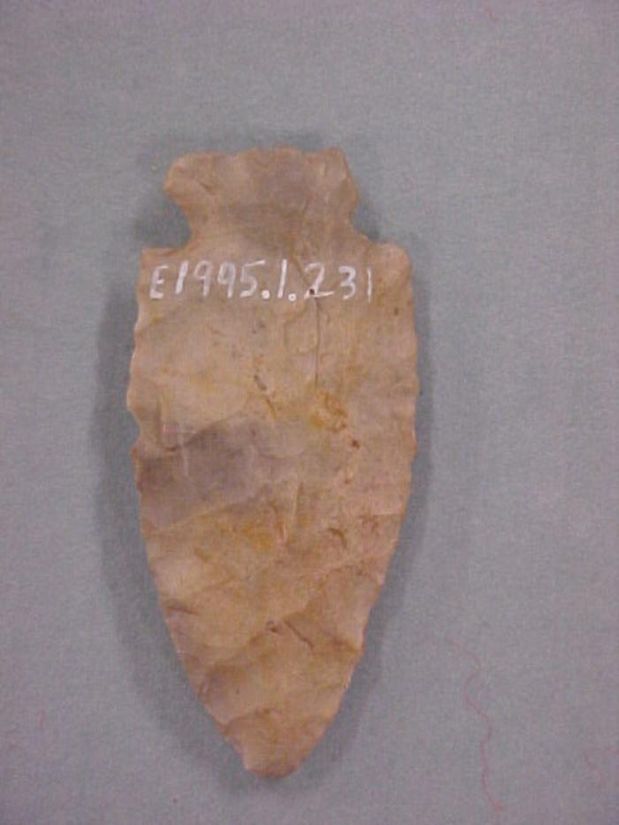 Projectile Point