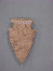Projectile Point