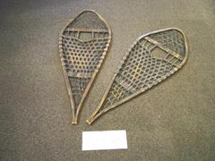 Snowshoes