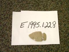Projectile Point