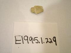 Projectile Point