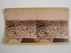 Stereoview